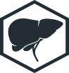 Liver Function, Health & Detox